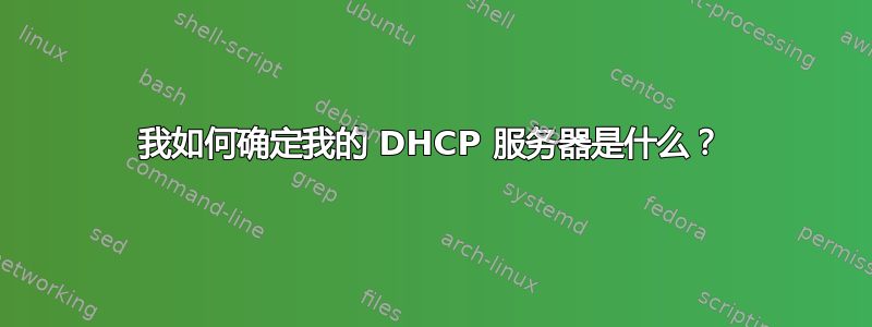 我如何确定我的 DHCP 服务器是什么？