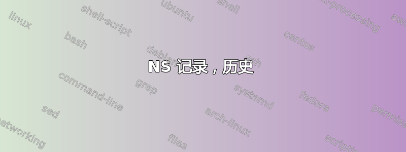 NS 记录，历史