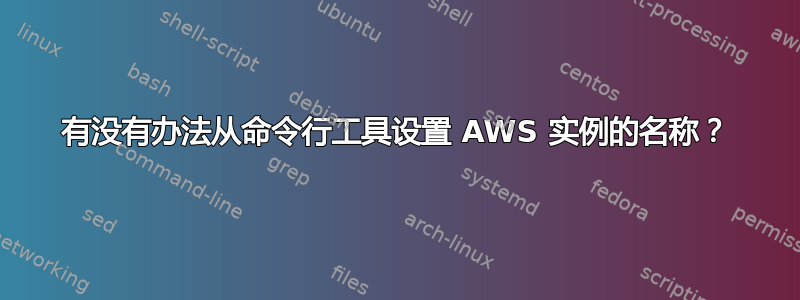 有没有办法从命令行工具设置 AWS 实例的名称？