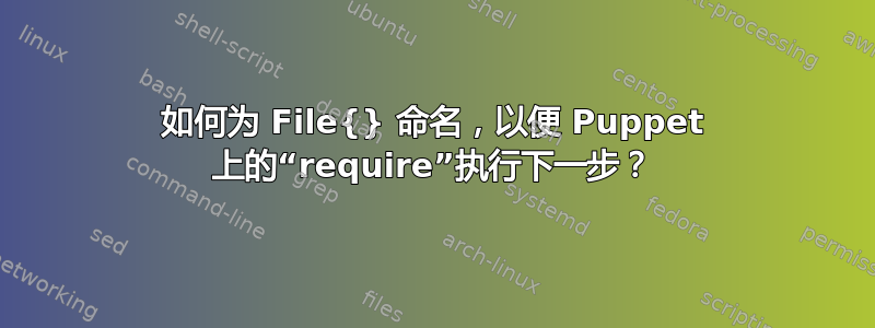 如何为 File{} 命名，以便 Puppet 上的“require”执行下一步？