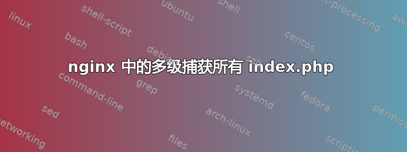 nginx 中的多级捕获所有 index.php