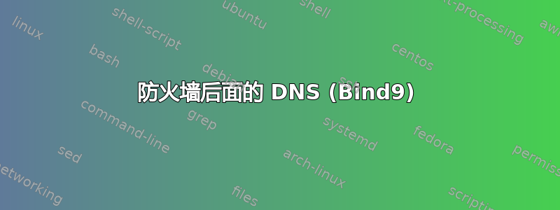 防火墙后面的 DNS (Bind9)