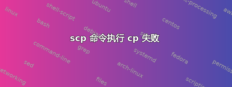 scp 命令执行 cp 失败