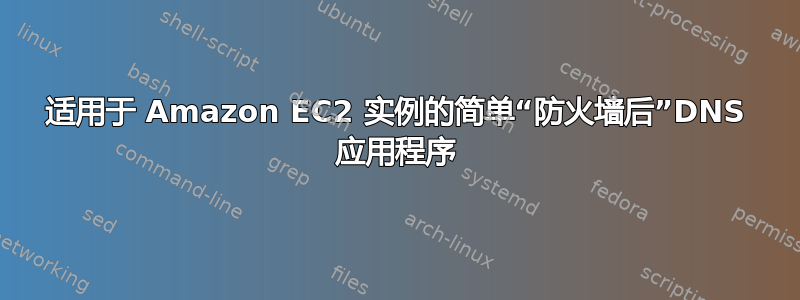 适用于 Amazon EC2 实例的简单“防火墙后”DNS 应用程序