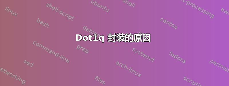 Dot1q 封装的原因