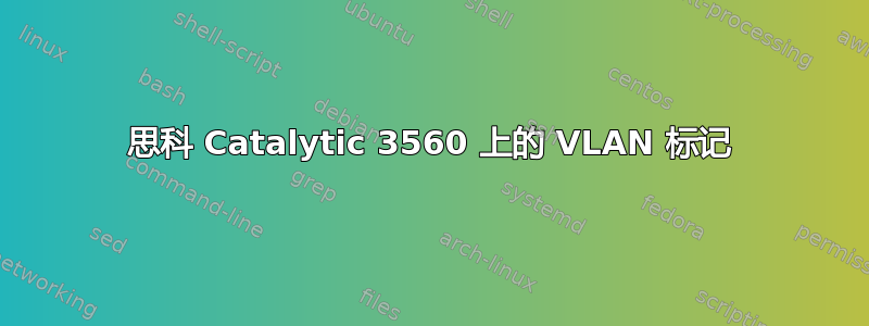 思科 Catalytic 3560 上的 VLAN 标记