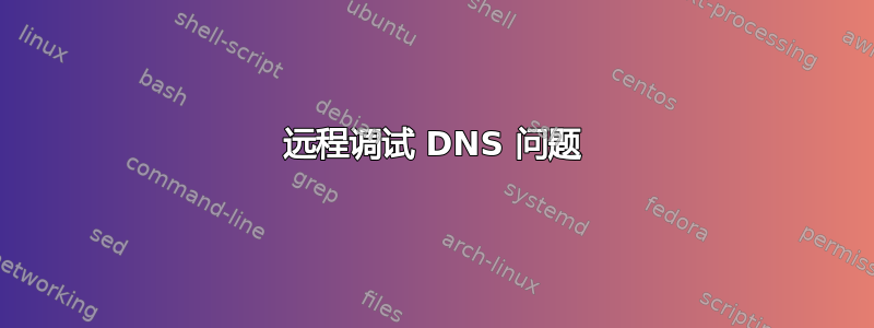 远程调试 DNS 问题