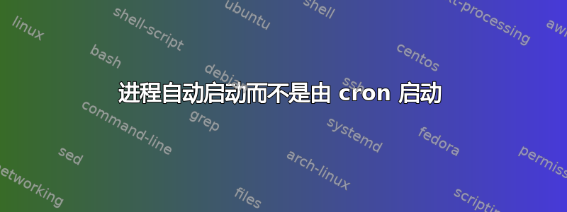 进程自动启动而不是由 cron 启动