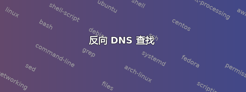 反向 DNS 查找