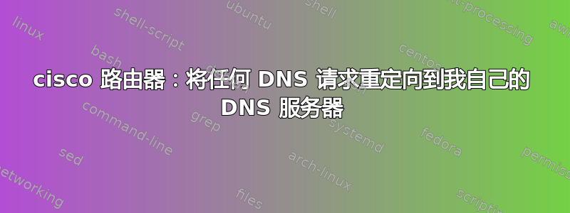 cisco 路由器：将任何 DNS 请求重定向到我自己的 DNS 服务器