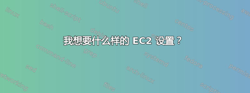 我想要什么样的 EC2 设置？