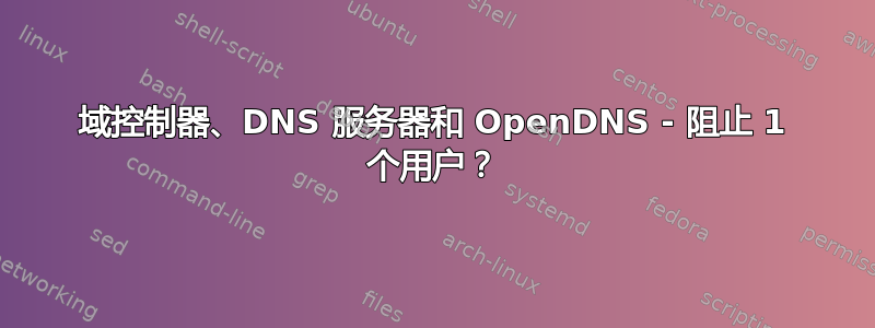 域控制器、DNS 服务器和 OpenDNS - 阻止 1 个用户？