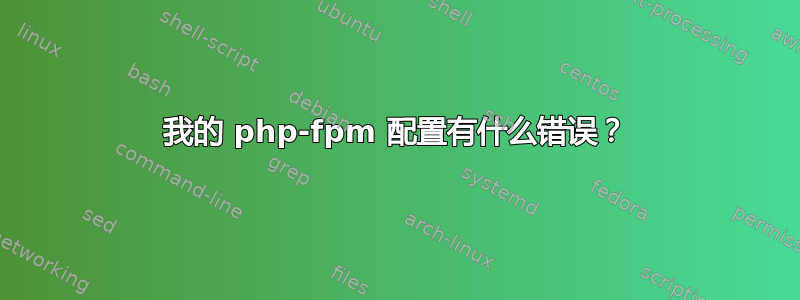 我的 php-fpm 配置有什么错误？