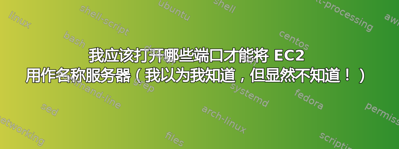 我应该打开哪些端口才能将 EC2 用作名称服务器（我以为我知道，但显然不知道！）