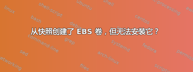 从快照创建了 EBS 卷，但无法安装它？