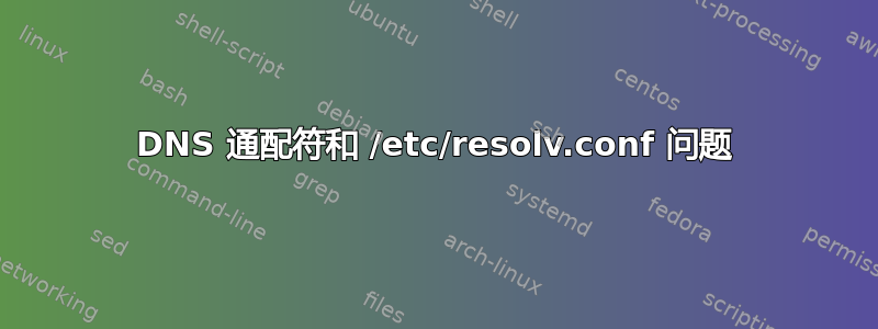 DNS 通配符和 /etc/resolv.conf 问题