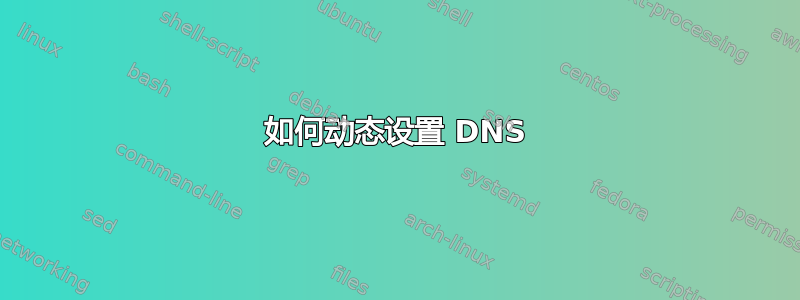 如何动态设置 DNS