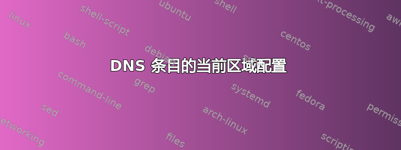 DNS 条目的当前区域配置