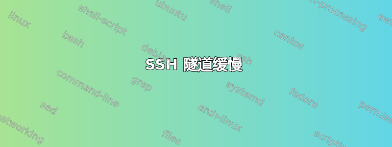 SSH 隧道缓慢