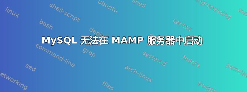 MySQL 无法在 MAMP 服务器中启动