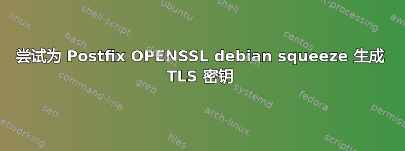 尝试为 Postfix OPENSSL debian squeeze 生成 TLS 密钥