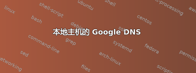 本地主机的 Google DNS