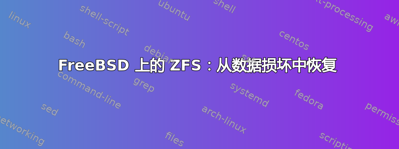 FreeBSD 上的 ZFS：从数据损坏中恢复