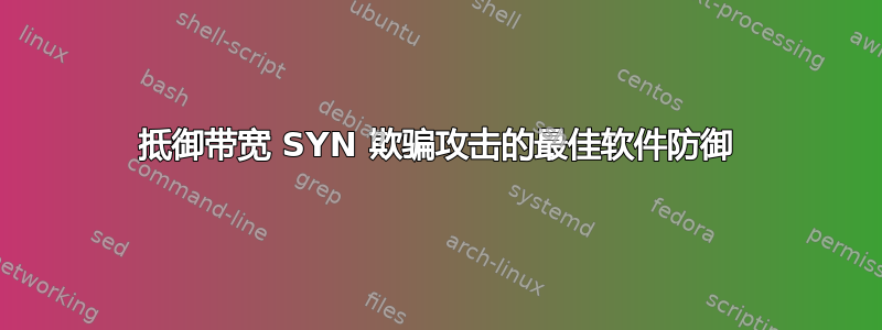 抵御带宽 SYN 欺骗攻击的最佳软件防御