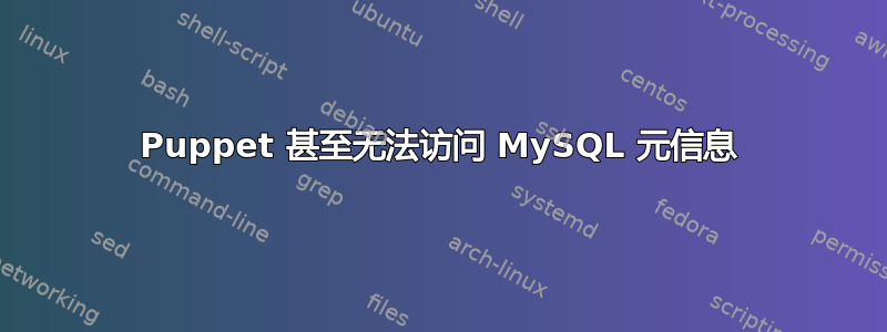 Puppet 甚至无法访问 MySQL 元信息