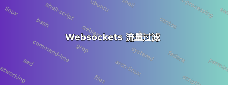 Websockets 流量过滤