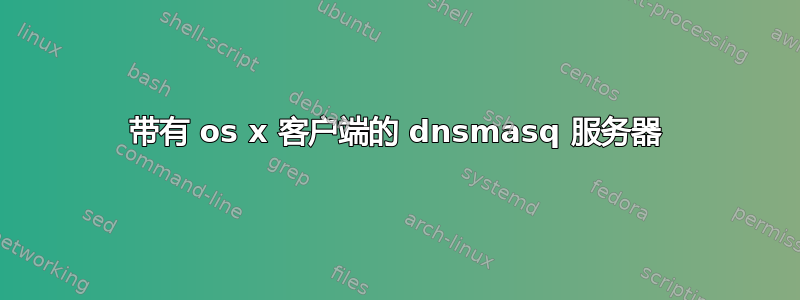 带有 os x 客户端的 dnsmasq 服务器