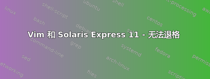 Vim 和 Solaris Express 11 - 无法退格