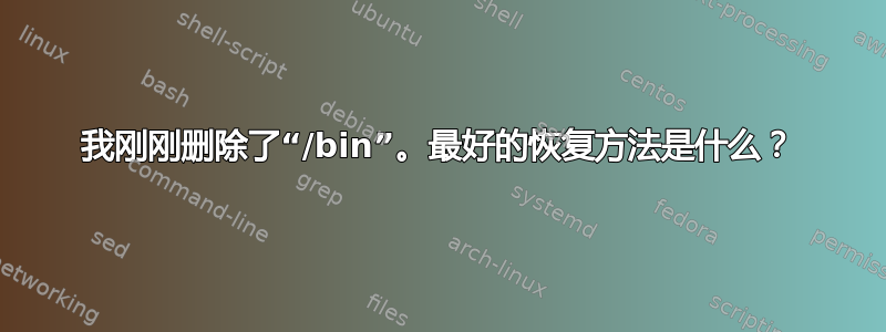 我刚刚删除了“/bin”。最好的恢复方法是什么？