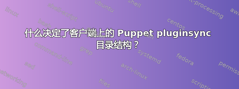 什么决定了客户端上的 Puppet pluginsync 目录结构？