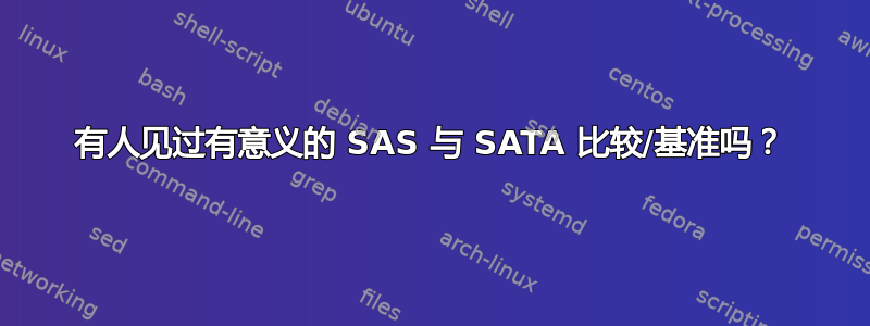 有人见过有意义的 SAS 与 SATA 比较/基准吗？