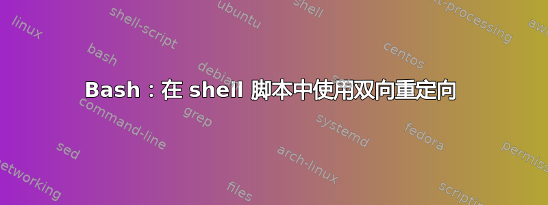 Bash：在 shell 脚本中使用双向重定向