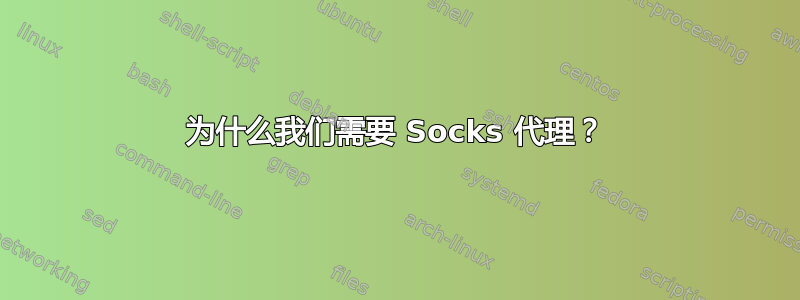 为什么我们需要 Socks 代理？