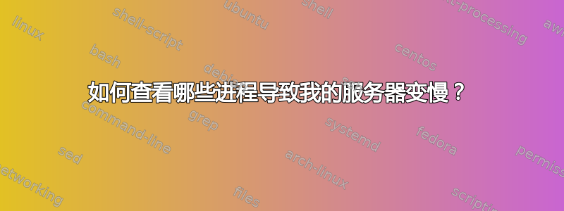 如何查看哪些进程导致我的服务器变慢？