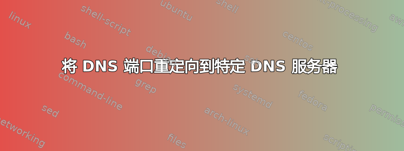 将 DNS 端口重定向到特定 DNS 服务器