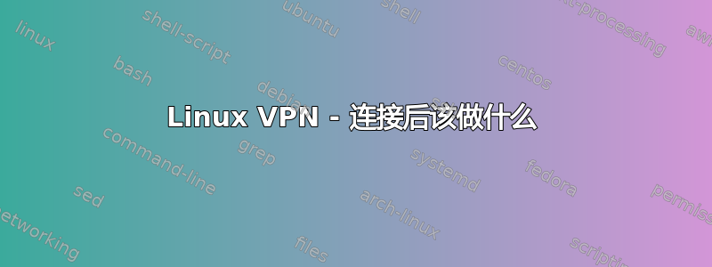 Linux VPN - 连接后该做什么