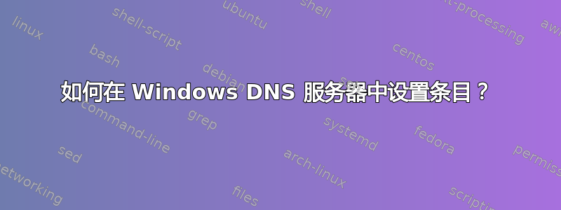 如何在 Windows DNS 服务器中设置条目？