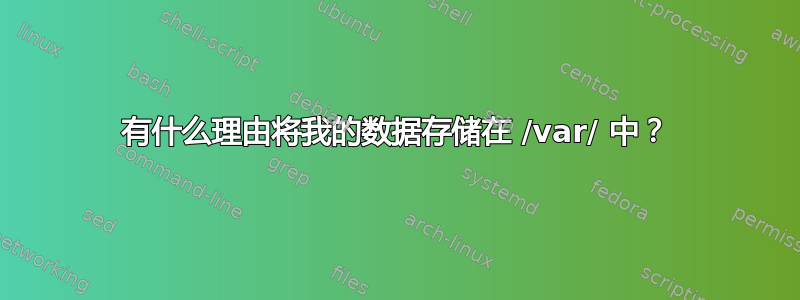 有什么理由将我的数据存储在 /var/ 中？