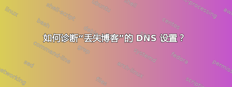 如何诊断“丢失博客”的 DNS 设置？