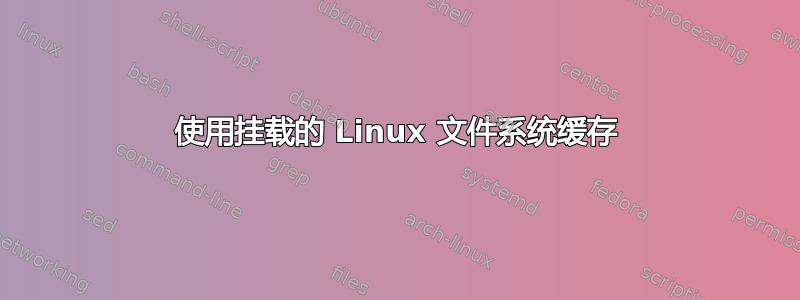 使用挂载的 Linux 文件系统缓存