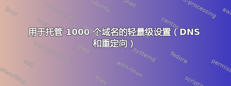 用于托管 1000 个域名的轻量级设置（DNS 和重定向）