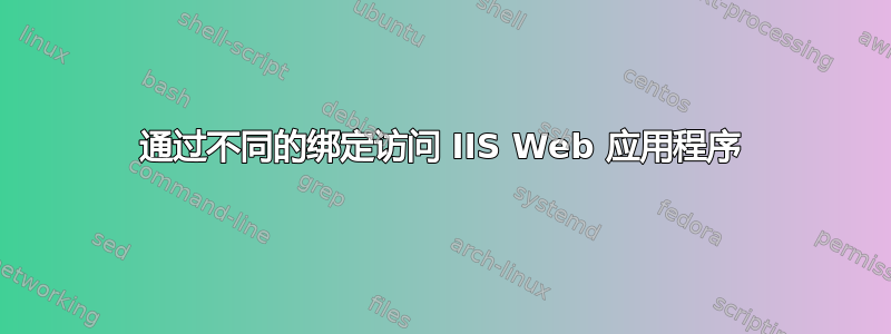 通过不同的绑定访问 IIS Web 应用程序