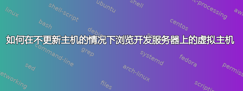 如何在不更新主机的情况下浏览开发服务器上的虚拟主机