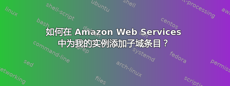 如何在 Amazon Web Services 中为我的实例添加子域条目？