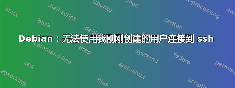 Debian：无法使用我刚刚创建的用户连接到 ssh