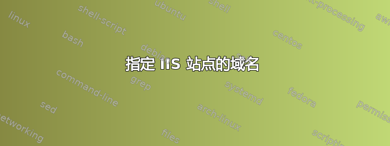 指定 IIS 站点的域名